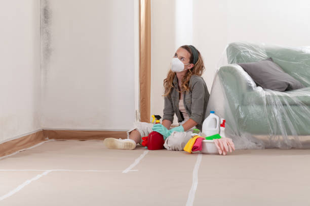 Reliable Basement Mold Removal contractor in Rocky Hill, NJ by WQB Mold Removal